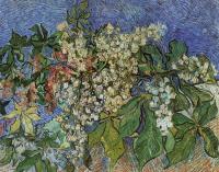 Gogh, Vincent van - Blossoming Chestnut Branches